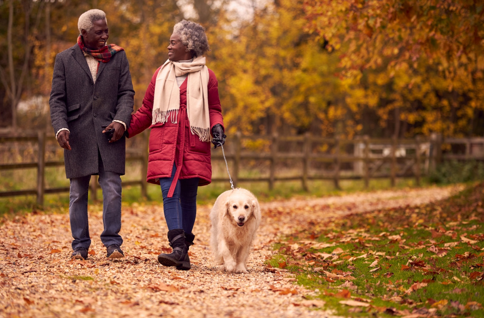 A senior couple hold hands and smile at each other while taking their dog for a walk on a crisp autumn day
